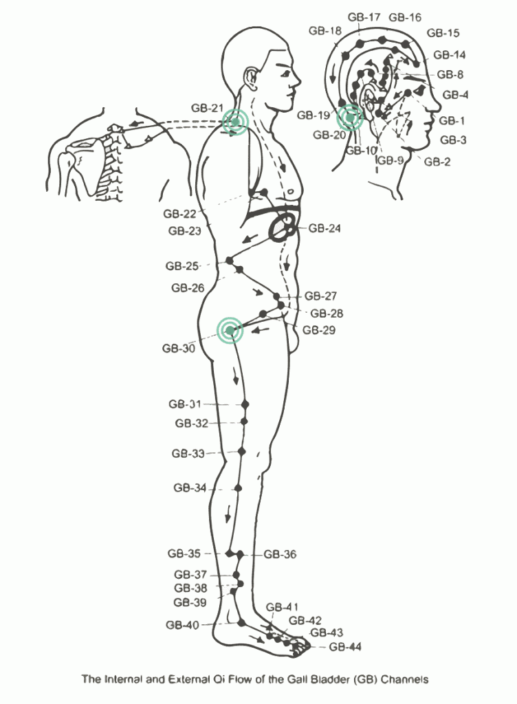 gallbladder-meridian